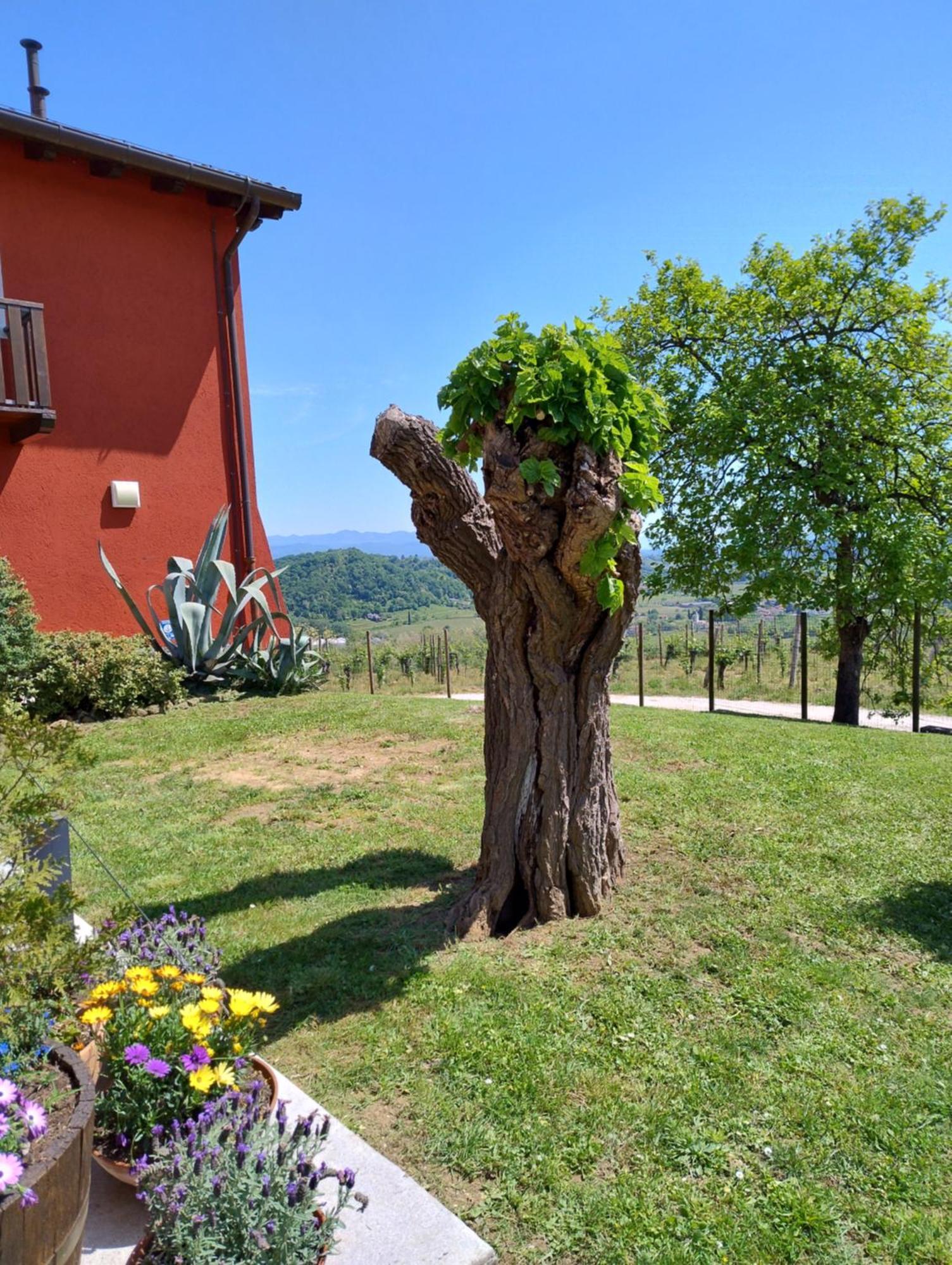 Le Badie Wine Resort Rosazzo Экстерьер фото