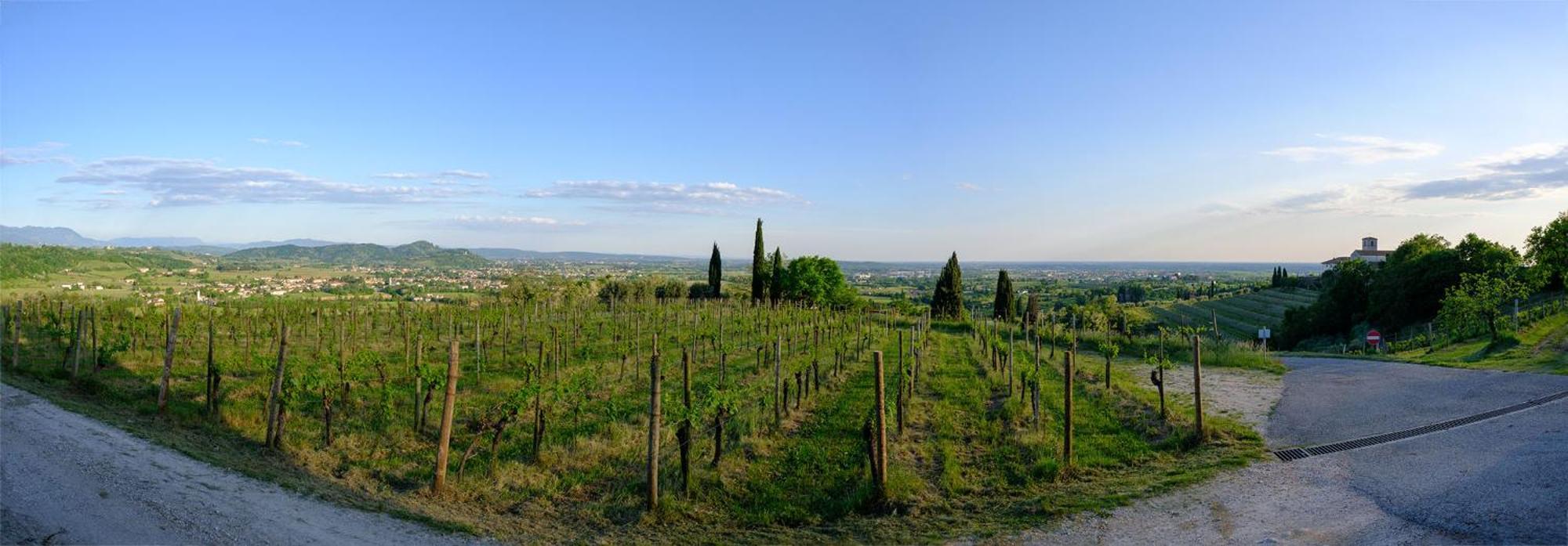 Le Badie Wine Resort Rosazzo Экстерьер фото