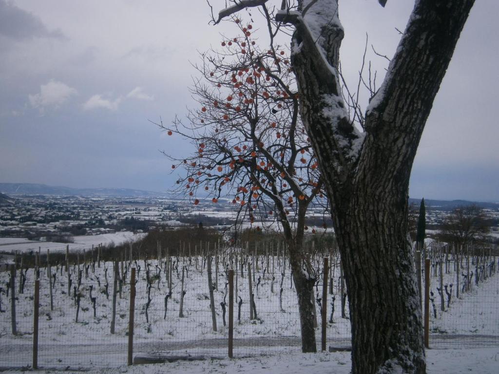 Le Badie Wine Resort Rosazzo Экстерьер фото